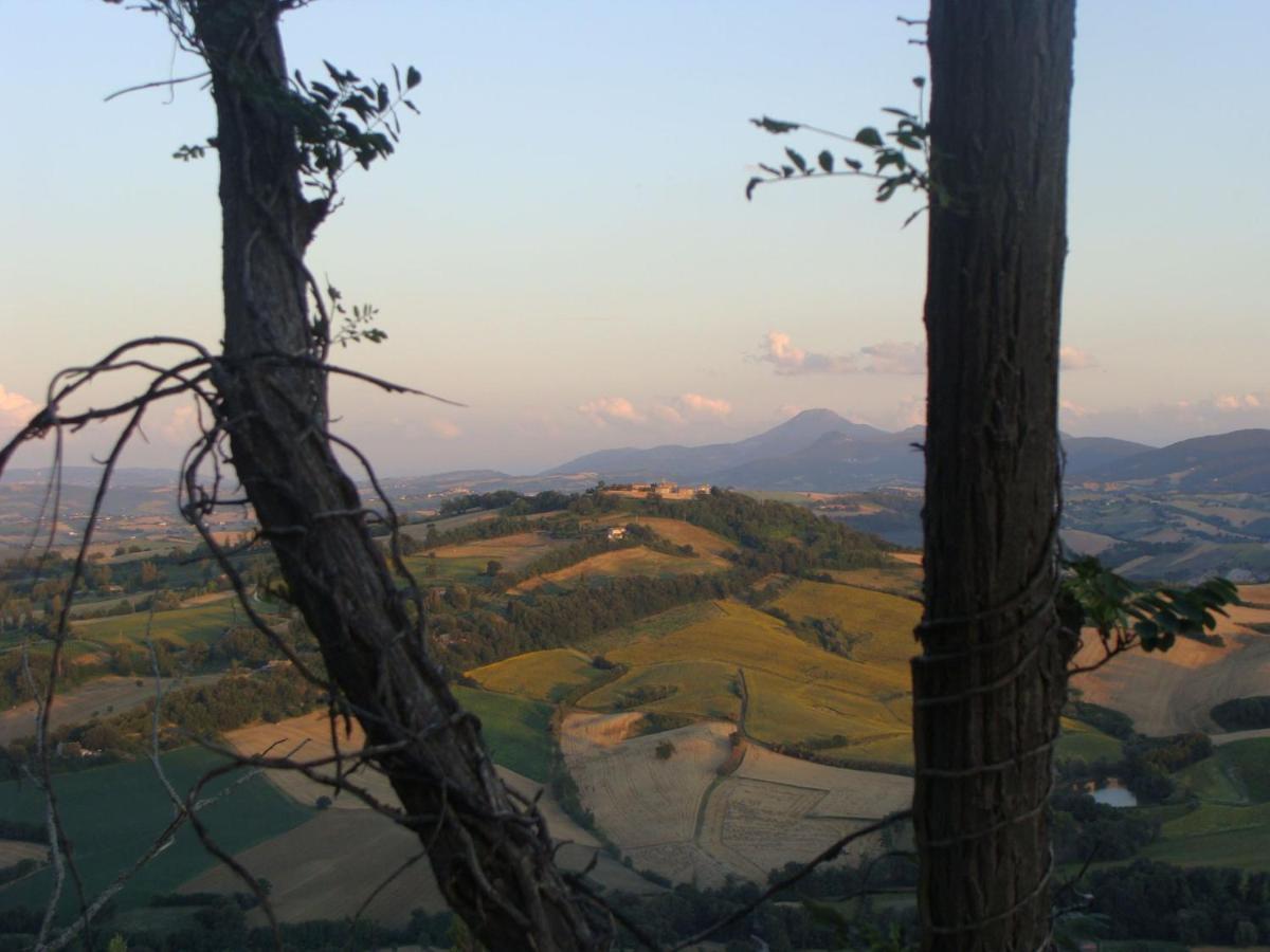 B&B Casa Cuccagna Fratte Rosa Bagian luar foto