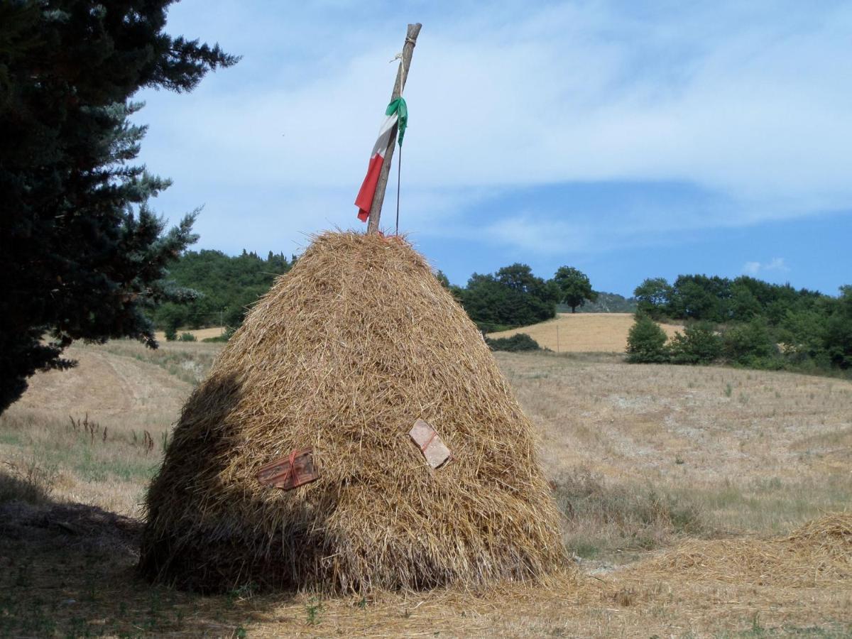 B&B Casa Cuccagna Fratte Rosa Bagian luar foto