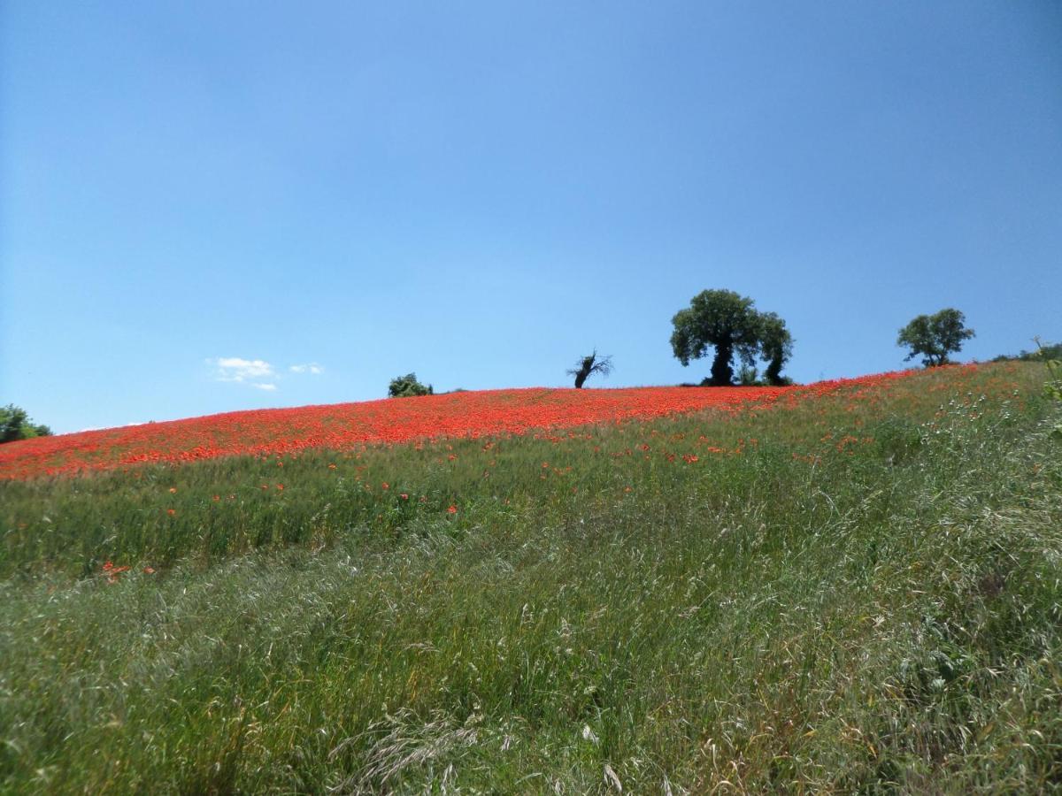 B&B Casa Cuccagna Fratte Rosa Bagian luar foto